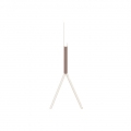 Телевизор OLED Objet Collection Posé 55'' 2024 LG 55LX1T6LA